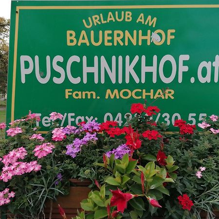 Bauernhof-Pension Puschnikhof Unternarrach Extérieur photo
