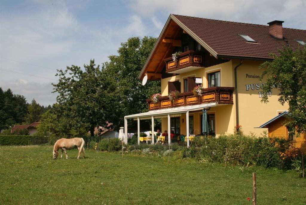 Bauernhof-Pension Puschnikhof Unternarrach Extérieur photo